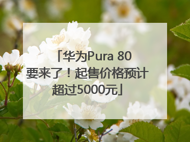 华为Pura 80要来了！起售价格预计超过5000元