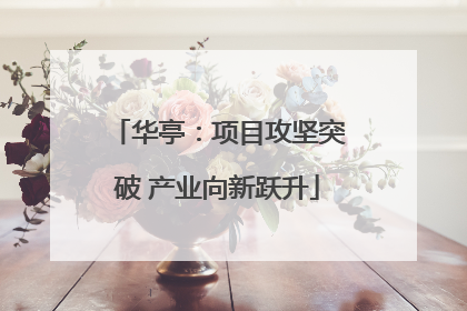 华亭：项目攻坚突破 产业向新跃升