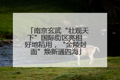 南京玄武“壮观天下”国际街区亮相 好地精用，“金陵封面”焕新通四海
