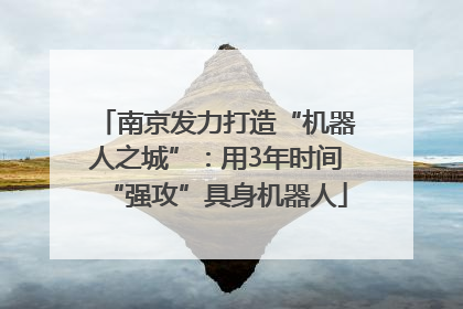 南京发力打造“机器人之城”：用3年时间“强攻”具身机器人