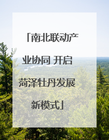 南北联动产业协同 开启菏泽牡丹发展新模式