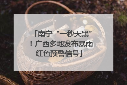 南宁“一秒天黑”！广西多地发布暴雨红色预警信号