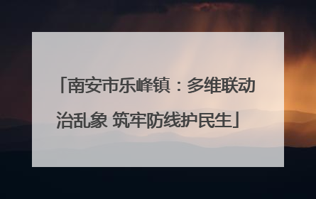 南安市乐峰镇：多维联动治乱象 筑牢防线护民生