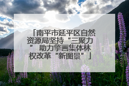 南平市延平区自然资源局坚持“三聚力” 助力擎画集体林权改革“新图景”