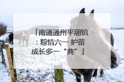 南通通州平潮镇：粽情六一 护苗成长多一“典”