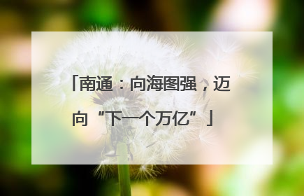 南通：向海图强，迈向“下一个万亿”