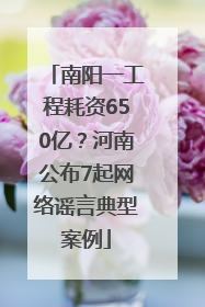 南阳一工程耗资650亿？河南公布7起网络谣言典型案例