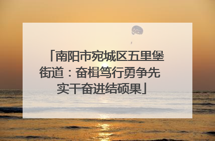 南阳市宛城区五里堡街道：奋楫笃行勇争先 实干奋进结硕果