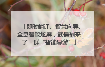 即时翻译、智慧向导、全息智能炫屏，武侯祠来了一群“智能导游”