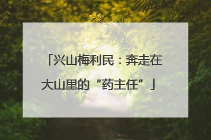 兴山梅利民：奔走在大山里的“药主任”
