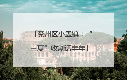 兖州区小孟镇：“三夏”收割话丰年