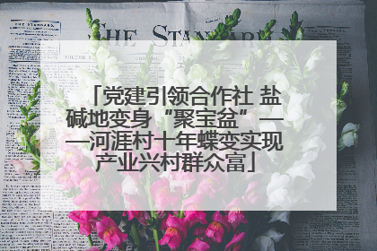 党建引领合作社 盐碱地变身“聚宝盆”——河涯村十年蝶变实现产业兴村群众富