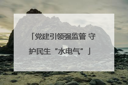 党建引领强监管 守护民生“水电气”