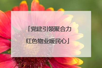 党建引领聚合力 红色物业暖民心