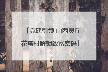 党建引领 山西灵丘花塔村解锁致富密码