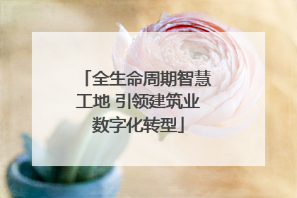 全生命周期智慧工地 引领建筑业数字化转型