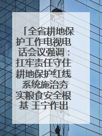 全省耕地保护工作电视电话会议强调：扛牢责任守住耕地保护红线 系统施治夯实粮食安全根基 王宁作出批示 王予波出席并讲话