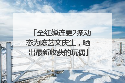 全红婵连更2条动态为陈艺文庆生，晒出最新收获的玩偶