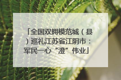 全国双拥模范城（县）巡礼江苏省江阴市：军民一心“澄”伟业