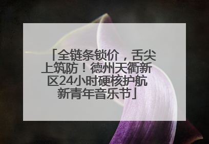 全链条锁价，舌尖上筑防！德州天衢新区24小时硬核护航新青年音乐节