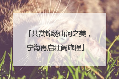 共赏锦绣山河之美，宁海再启壮阔旅程