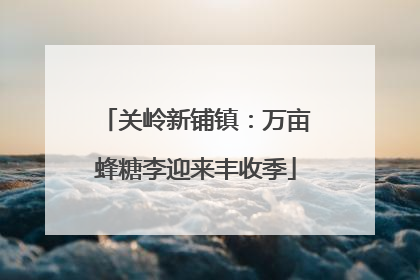 关岭新铺镇：万亩蜂糖李迎来丰收季