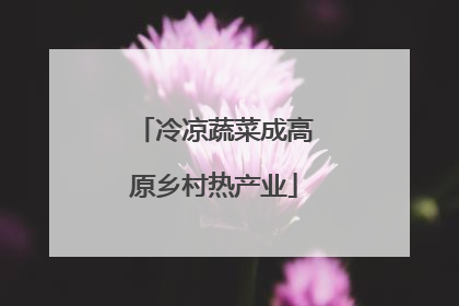 冷凉蔬菜成高原乡村热产业