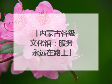 内蒙古各级文化馆：服务永远在路上