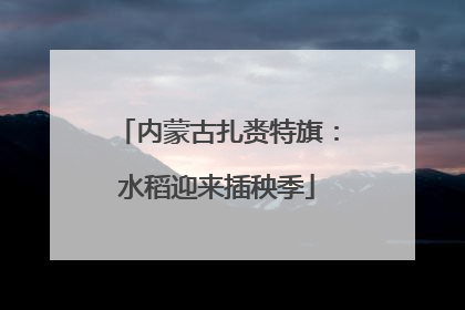 内蒙古扎赉特旗：水稻迎来插秧季