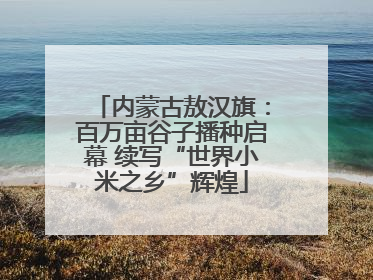 内蒙古敖汉旗：百万亩谷子播种启幕 续写“世界小米之乡”辉煌