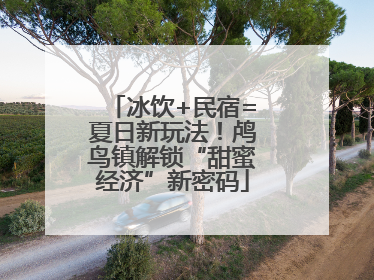 冰饮+民宿=夏日新玩法！鸬鸟镇解锁“甜蜜经济”新密码