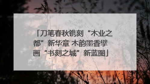 刀笔春秋镌刻“木业之都”新华章 木韵墨香擘画“书刻之城”新蓝图