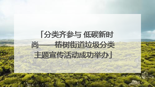 分类齐参与 低碳新时尚——椿树街道垃圾分类主题宣传活动成功举办