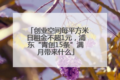 创业空间每平方米日租金不超1元，浦东“青创15条”满月带来什么