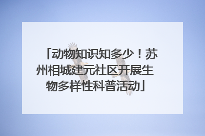 动物知识知多少！苏州相城建元社区开展生物多样性科普活动