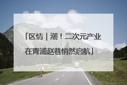 区情｜潮！二次元产业在青浦赵巷悄然启航
