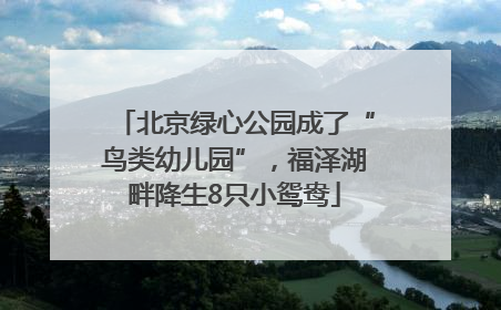 北京绿心公园成了“鸟类幼儿园”，福泽湖畔降生8只小鸳鸯