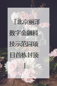 北京丽泽数字金融科技示范园项目首栋封顶