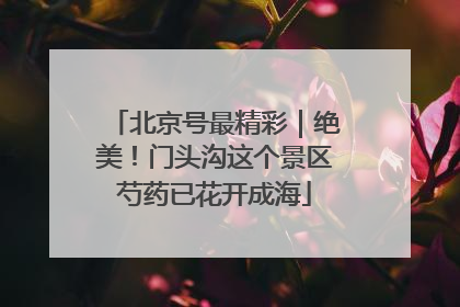 北京号最精彩｜绝美！门头沟这个景区芍药已花开成海