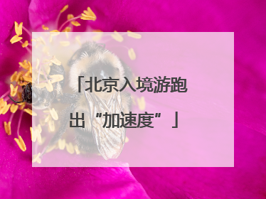 北京入境游跑出“加速度”