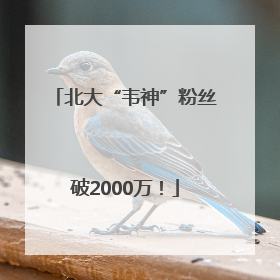 北大“韦神”粉丝破2000万！