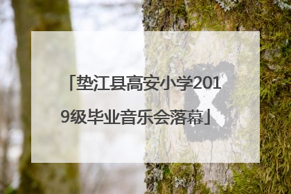 垫江县高安小学2019级毕业音乐会落幕