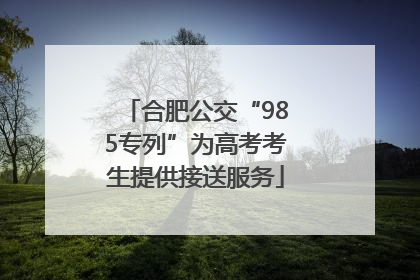 合肥公交“985专列”为高考考生提供接送服务