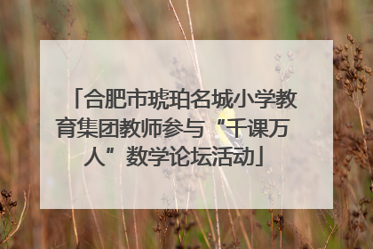 合肥市琥珀名城小学教育集团教师参与“千课万人”数学论坛活动