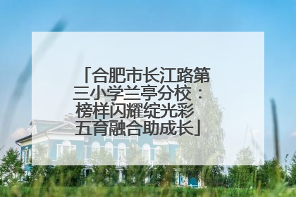 合肥市长江路第三小学兰亭分校：榜样闪耀绽光彩 五育融合助成长