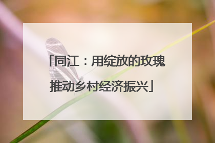 同江：用绽放的玫瑰 推动乡村经济振兴