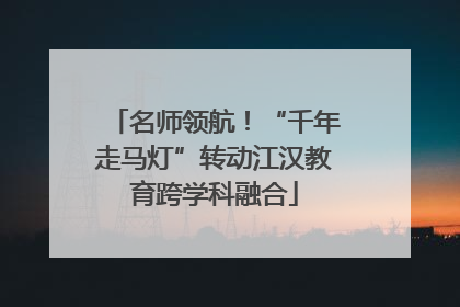 名师领航！“千年走马灯”转动江汉教育跨学科融合