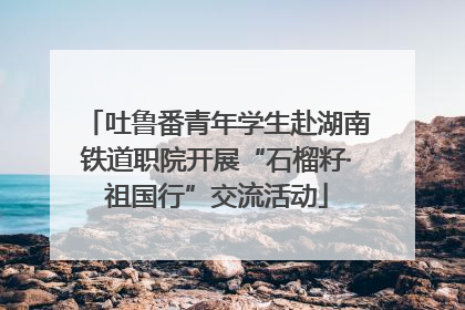 吐鲁番青年学生赴湖南铁道职院开展“石榴籽·祖国行”交流活动