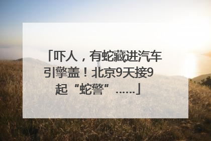 吓人，有蛇藏进汽车引擎盖！北京9天接9起“蛇警”……