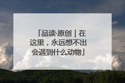品读·原创｜在这里，永远想不出会遇到什么动物